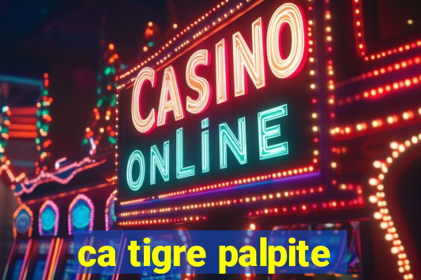 ca tigre palpite